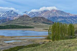 álamo árvores dentro frente do a andes, patagônia nacional parque, chacabuco vale perto Cochrane, aysen região, Patagônia, Chile foto