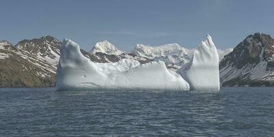 oceano Porto, flutuando icebergs, sul geórgia ilha, antártico foto