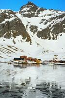 antigo grytviken baleia estação, rei Edward enseada, sul Geórgia, sul geórgia e a sanduíche ilhas, Antártica foto