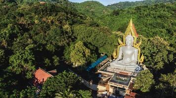 Alto ângulo Visão aéreo fotografia do Buda estátua dentro a floresta foto