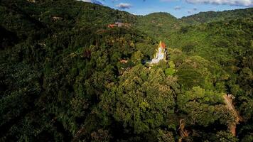 Alto ângulo Visão aéreo fotografia do Buda estátua dentro a floresta foto