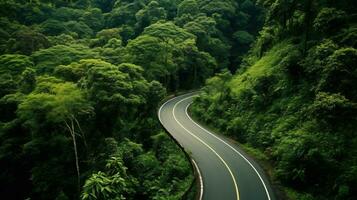 ai gerado a asfalto estrada conduz através a meio do uma denso e selvagem verde selva foto