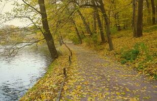 lindo natureza outono panorama com lago. cenário Visão em outono cidade parque com dourado amarelo folhagem dentro nublado dia foto