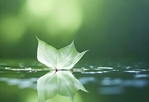 ai gerado branco transparente folha em espelho superfície com reflexão em verde fundo macro. generativo ai foto