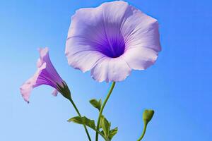 ai gerado manhã glória flor com azul céu. ai gerado. foto