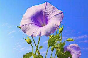 ai gerado manhã glória flor com azul céu. ai gerado. foto