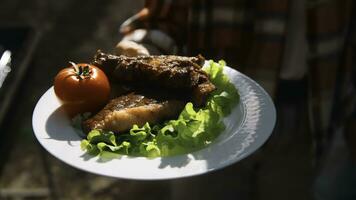 fechar-se do prato com churrasco carne e legumes. estoque imagens de vídeo. brilhante Comida em prato com grelhado carne e legumes em ensolarado verão dia. mulher detém prato com churrasco dentro natureza em verão dia foto