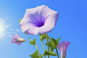 ai gerado manhã glória flor com azul céu. ai gerado. foto