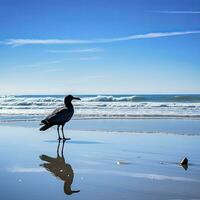 ai gerado gaivota em a de praia debaixo azul céu. foto