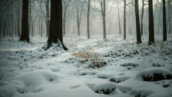 ai gerado examinar a único paisagens sonoras do uma inverno floresta, concentrando em a triturando do neve sob os pés e a ocasional rangendo do congeladas membros. foto