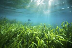 ai gerado embaixo da agua Visão do uma grupo do solo oceânico com verde algas marinhas. ai gerado foto