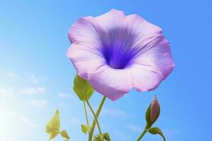 ai gerado manhã glória flor com azul céu. ai gerado. foto