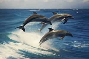 ai gerado brincalhão golfinhos pulando sobre quebra ondas. Havaí pacífico oceano animais selvagens cenário. generativo ai foto