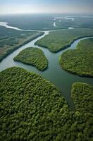 ai gerado aéreo Visão do a amazonas selva panorama com rio dobrar. generativo ai foto