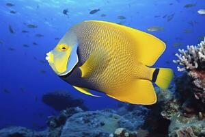 ai gerado lindo peixe anjo dentro a oceano. ai gerado foto