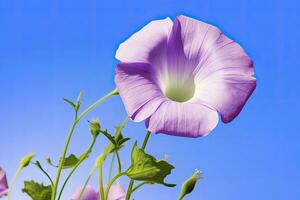 ai gerado manhã glória flor com azul céu. ai gerado. foto