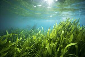 ai gerado embaixo da agua Visão do uma grupo do solo oceânico com verde algas marinhas. ai gerado foto