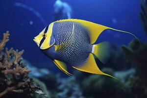 ai gerado lindo peixe anjo dentro a oceano. ai gerado foto