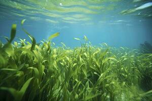 ai gerado embaixo da agua Visão do uma grupo do solo oceânico com verde algas marinhas. ai gerado foto