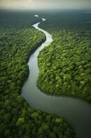 ai gerado aéreo Visão do a amazonas selva panorama com rio dobrar. generativo ai foto