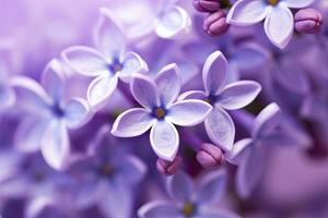 ai gerado lilás Flor macro fundo com cópia de espaço. ai gerado foto