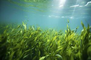 ai gerado embaixo da agua Visão do uma grupo do solo oceânico com verde algas marinhas. ai gerado foto