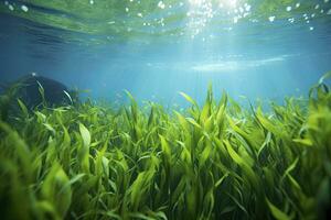 ai gerado embaixo da agua Visão do uma grupo do solo oceânico com verde algas marinhas. ai gerado foto