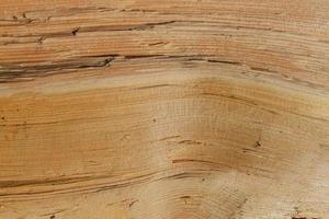 superfície da árvore closeup de fundo de madeira foto