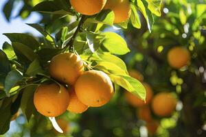 ai gerado laranja fruta em árvore. ai gerado foto