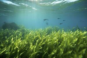 ai gerado embaixo da agua Visão do uma grupo do solo oceânico com verde algas marinhas. ai gerado foto