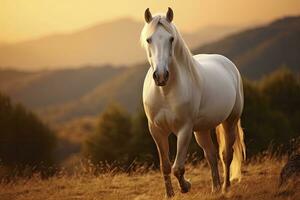 ai gerado branco cavalo ou égua dentro a montanhas às pôr do sol. ai gerado foto