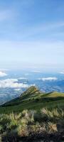 retrato do a beleza do a pastagem visto a partir de a topo do montar merbabu, Claro azul céu foto