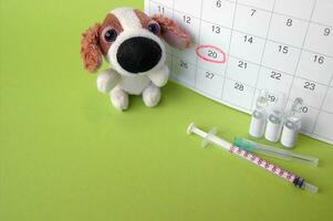 uma seringa com ampolas, uma suave brinquedo uma cachorro e uma calendário com uma marcado encontro em luz verde fundo. foto