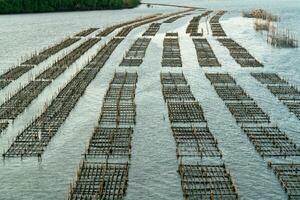 levantando peixe dentro gaiolas às pak nam chanthaburi foto