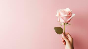 ai gerado fechar-se mão segurando Rosa rosa em Rosa fundo foto