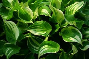 ai gerado dinâmico beleza cativante imagem do verde folhas graciosamente suspenso dentro a ar ai gerado foto