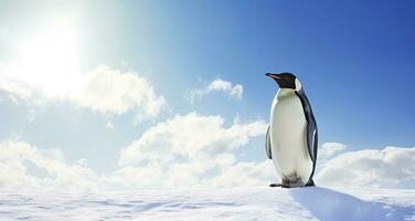 ai gerado pinguim em pé dentro Antártica olhando para dentro a azul céu. ai gerado foto