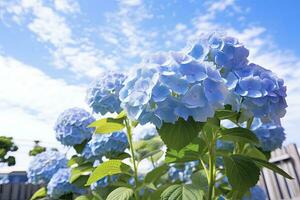 ai gerado azul francês hortênsia debaixo azul céu. ai gerado foto