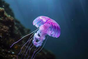 ai gerado malva ferrão roxa medusa. ai gerado. foto