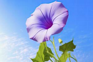 ai gerado manhã glória flor com azul céu. ai gerado. foto