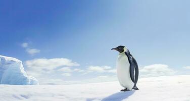 ai gerado pinguim em pé dentro Antártica olhando para dentro a azul céu. ai gerado foto