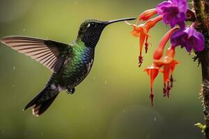 ai gerado beija Flor dentro costa rica. ai gerado. foto