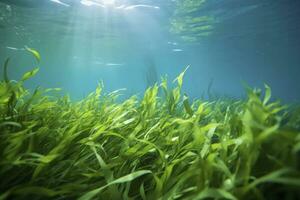 ai gerado embaixo da agua Visão do uma grupo do solo oceânico com verde algas marinhas. ai gerado foto