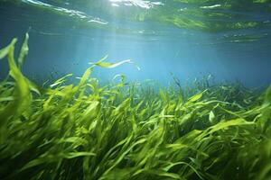 ai gerado embaixo da agua Visão do uma grupo do solo oceânico com verde algas marinhas. ai gerado foto