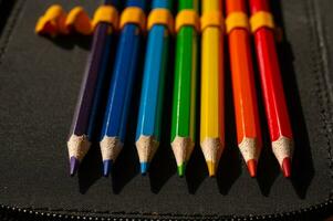 multicolorido lápis dentro uma colegial lápis caso foto