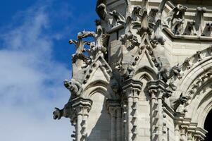 a surpreendente gárgulas do notre dame de Paris dentro França. uma gótico construção construído durante medieval vezes, é casa para uma número do esculturas, Incluindo muitos gárgulas. foto