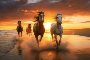 ai gerado cavalos corrida em de praia através mar água às pôr do sol. generativo ai foto