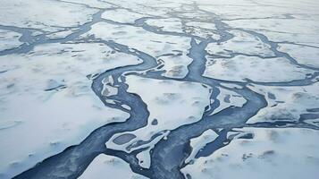 ai gerado gelo ártico tundra panorama foto