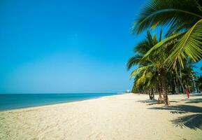 panorama verão panorama vista frontal palmeiras e coqueiros mar praia azul areia branca céu fundo calma natureza oceano bonita onda agua viagem bangsaen praia leste tailândia chonburi foto