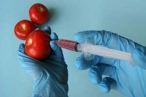 tomate e seringa com OGM dentro mãos em uma azul fundo. foto